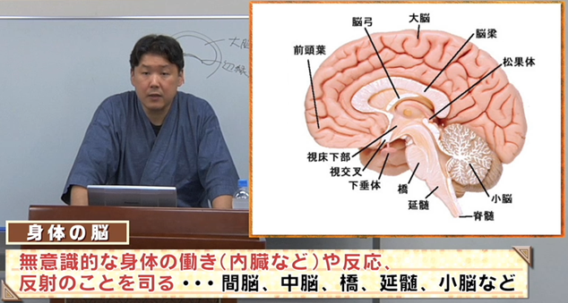 機能脳科学療法DVD