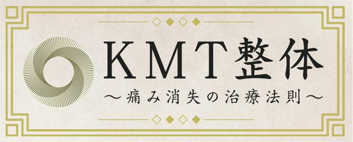 隈本政宗 KMT整体痛み消失治療法則 DVDフルセット - ブルーレイ
